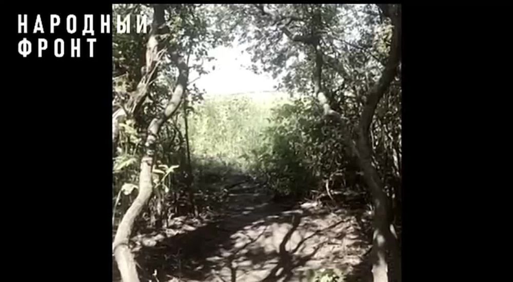 ������� #��������������. ��� ������ ������� ������� ��������� �� ���� ��� ������� "�����" ������ ������������...