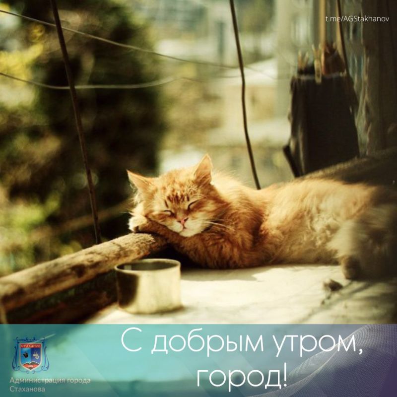 ������ ���� �������� ������ ����