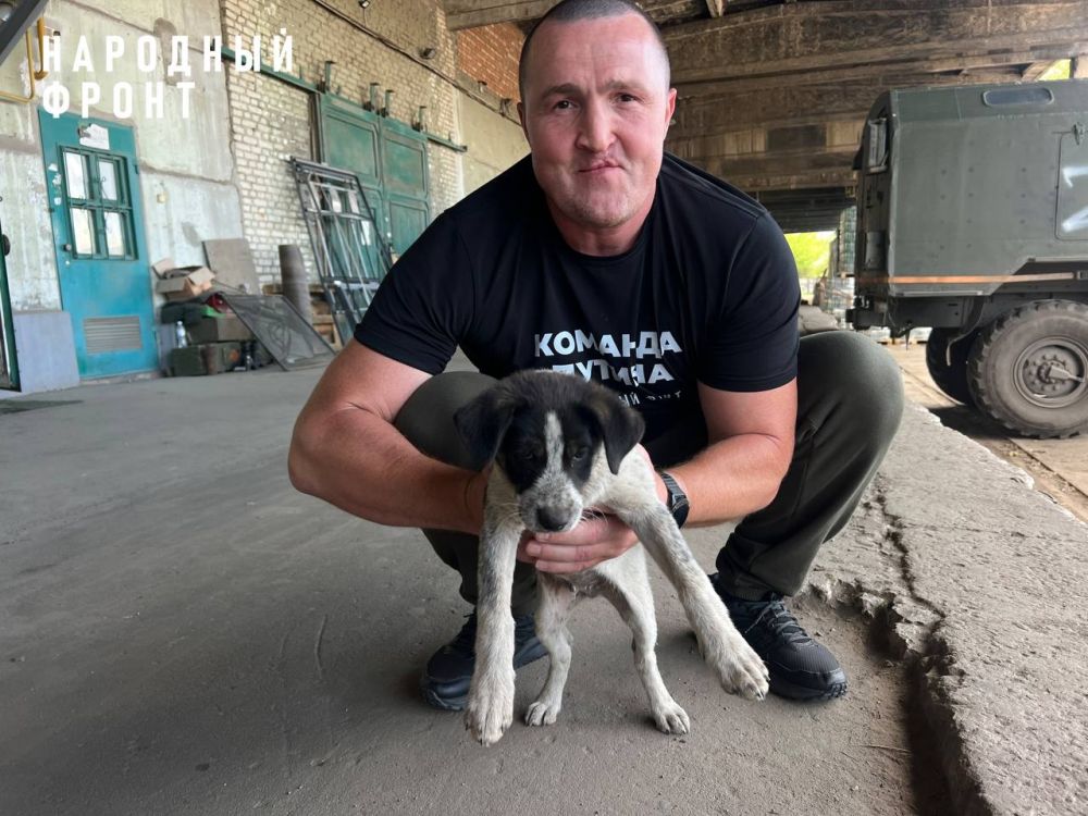 #�������. ����� ������� � ����� � ���� ���. ������, ������� � ������������ ����, ������� ��������� ��� ������������ ������ �� ����� �����������