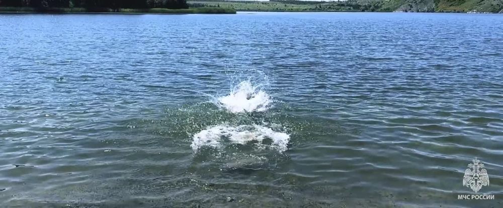 ������� ������������ �� ����