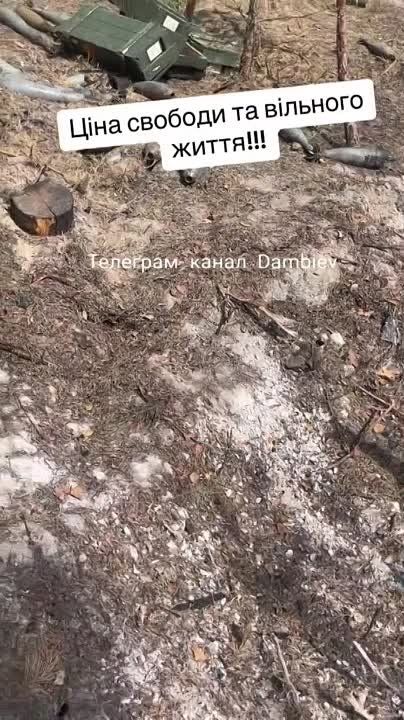 ������ �������: ���� ��� ���������. ������������ � ���������� ��������������� ����� �� �� �������� ���������� ���-66, ���������������� ��� ������� ����������� � ����������� ����� ���������� ������������