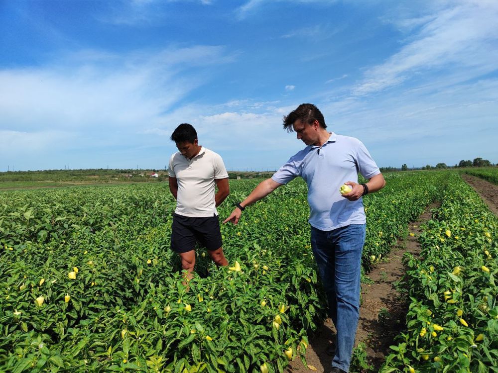 ������� ������������ �������� ���. �������������������� �������� ��������� �������� ���������� ������� ����� ������� ����������� ��� ��������