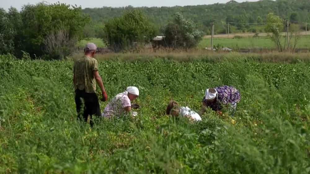 ������� ��������� ��������� � �������������� ��� ������� ������� ����������� � ������� ������� ������ ������ �� ����� �� ���������� �������� �������������� ������