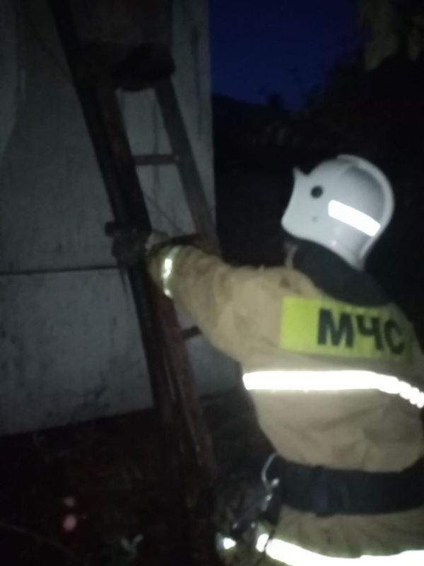 �������� ���������: �� ���� ������ � ���������� ������ ��������� ���������� ����� ������ ���� �������� 10 ��. �