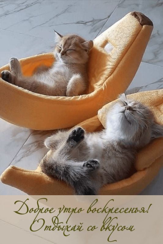 �������������� �� �����