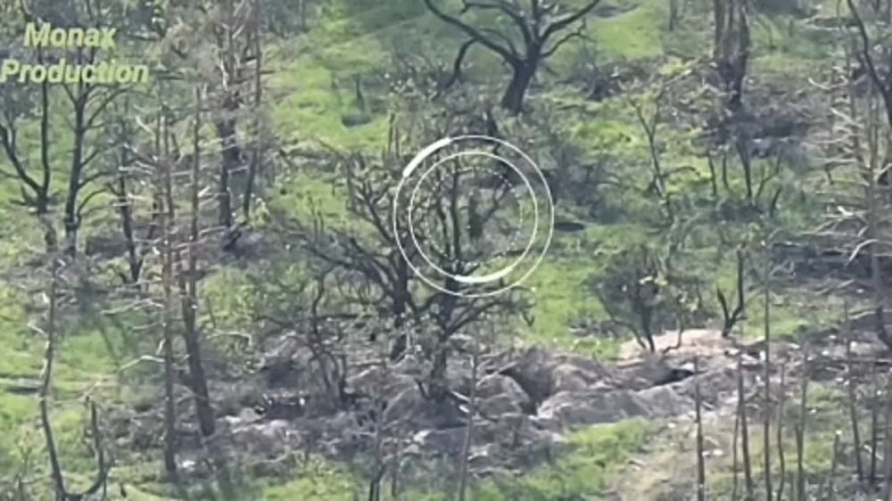 ������� �������: ����������� ������ ���������� �� �������-���������� �����������