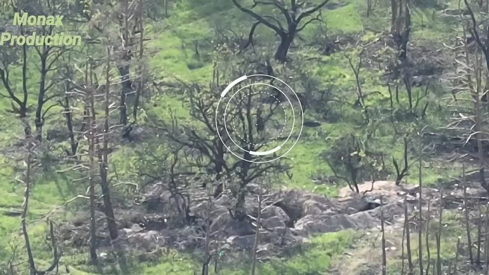 ��������� ���: ����������� ������ ���������� ���-�� �� ������ �������-���������