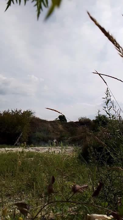 ������� ��������: ��������� � ���������� �����������