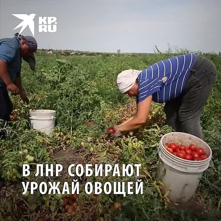 �� ����� ������, ���� ��� ����: � ��� �������� ������ ������