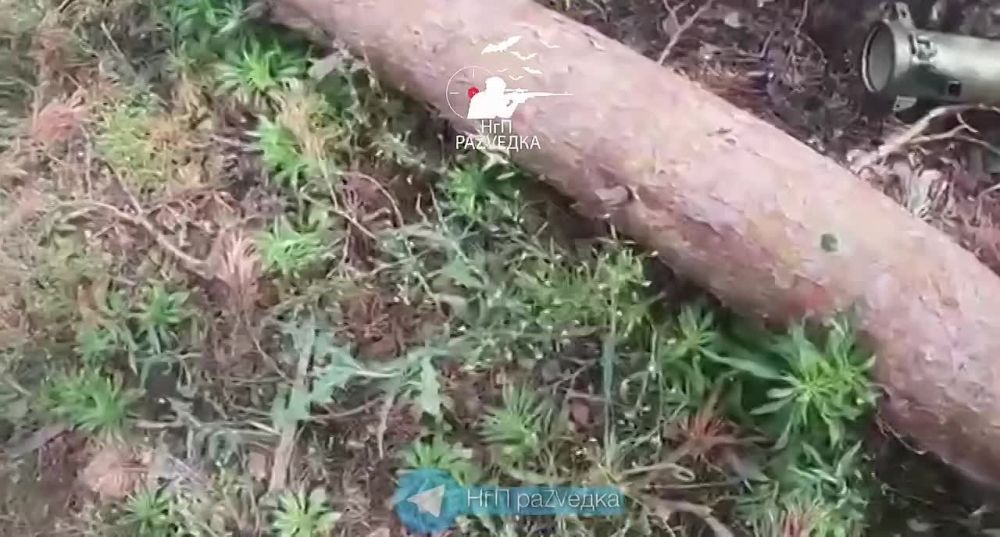 ����� ���������, ����� �� ��� ��ZV����: