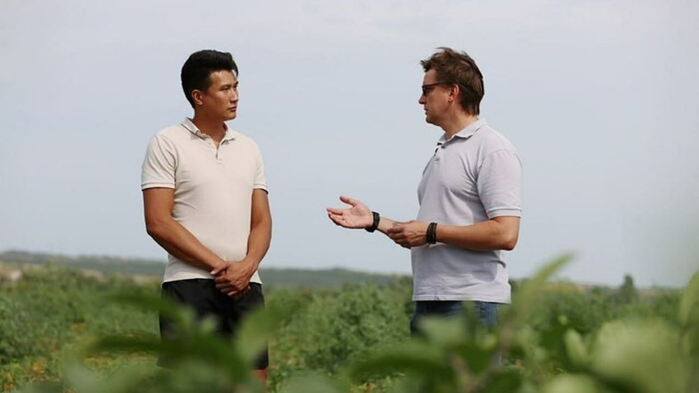 �� ����� ������, ���� ��� ����: � ��� �������� ������ ������