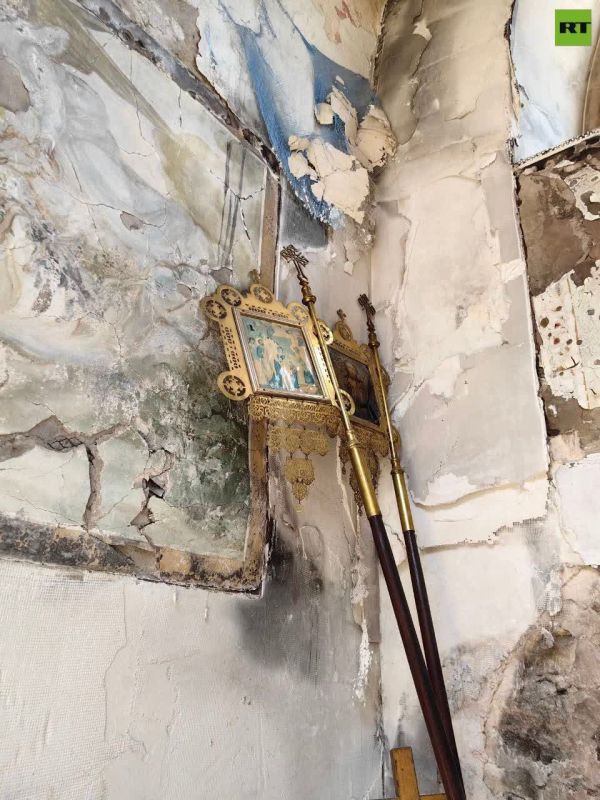 ����, ������� �������������, ��������� ���� ��������� @dolgarevaanna