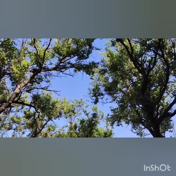 ���������� ����� ��� ������������� ������ ��������� � ��������������� ������ ��������� �������� ���������� ������������� � �������� #�������