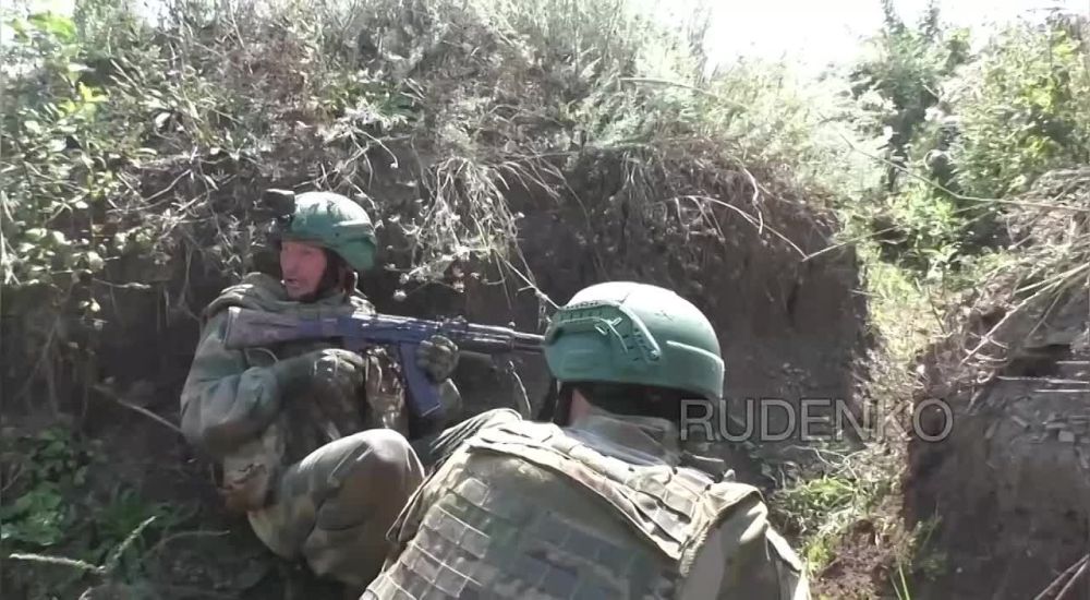 ������ �������: ������� � ����������� � ���� ��������� �������