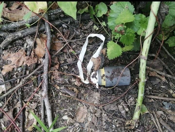 ������ �������: �����. �� ����������� ��������������� ������� �� ���������� ��������� � � �������