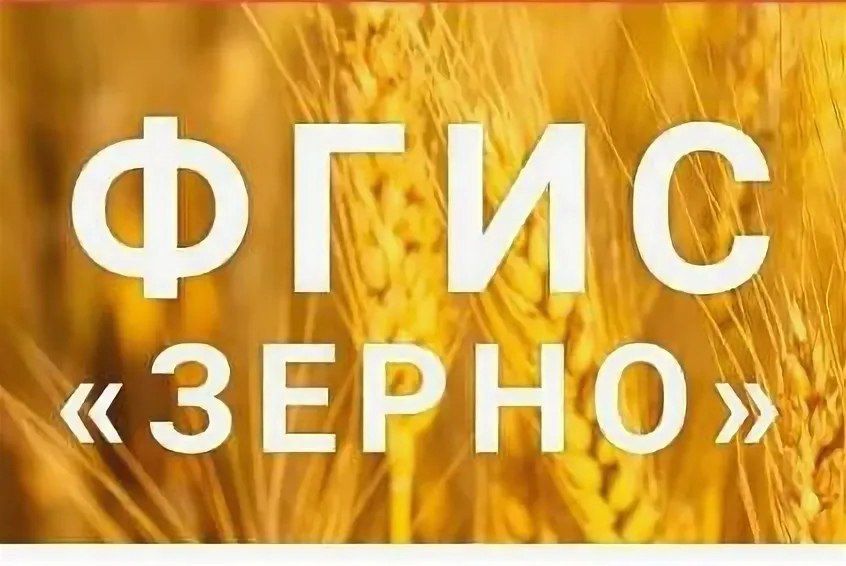 �� ���������� ���� "�����" � ���� ���