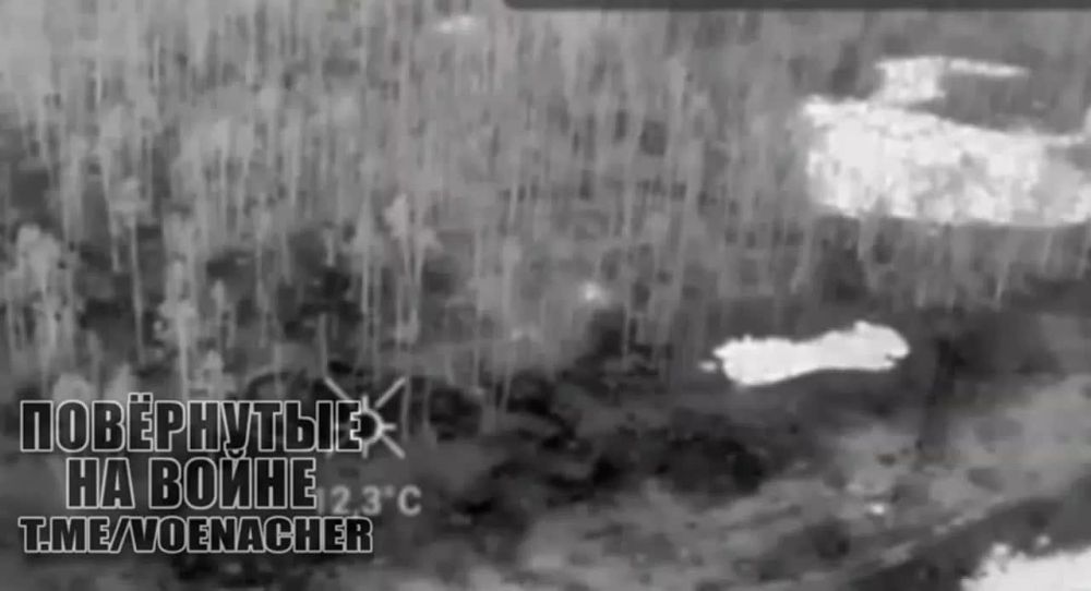 ������� �������: ������ ��������� �� �������� ������ �� �������