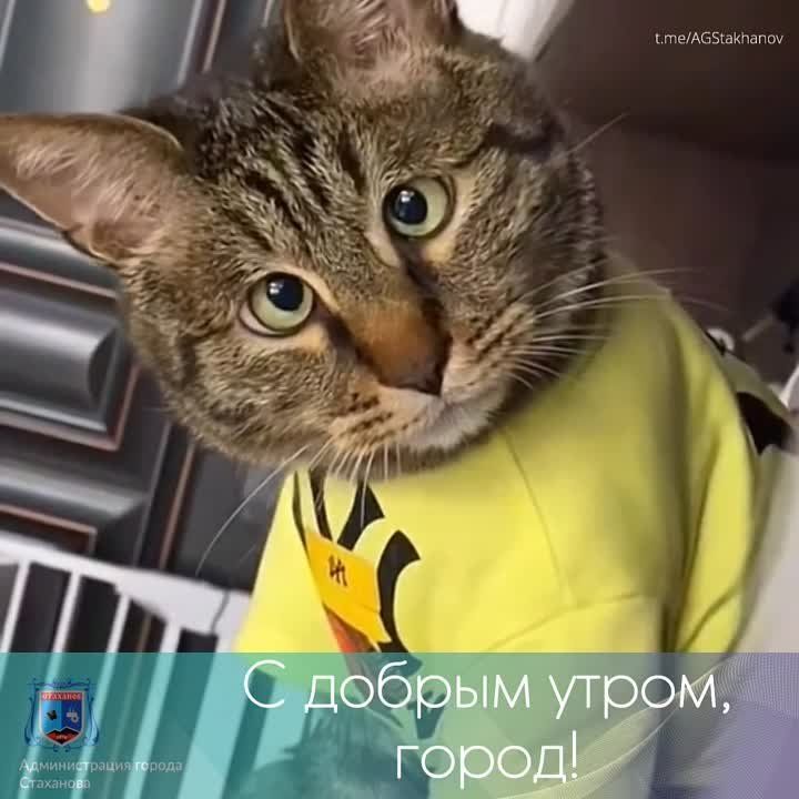 ��� �����������?! ������ �� ����������� ����!
