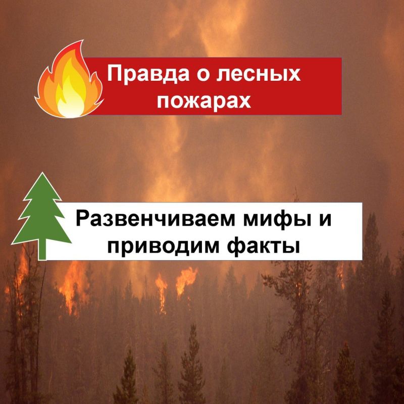 ������������ ������� � ������������� ������������ ��� ���������� � ������������� ��������� ��������������� ������������