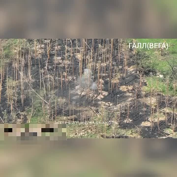 ��������� ���: ����� ������� ��������� ����� �������� ���������� ���-�� ��� ���������, �������� � ��� ����� ��������� ������� �����