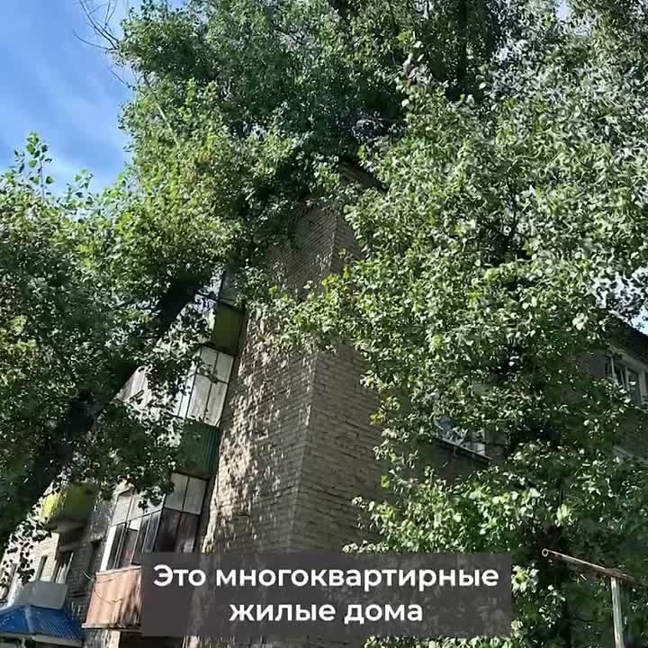 ��������� ��������� ������� ���������� ��������������� ������ ��������������� ������ ��������������� �����