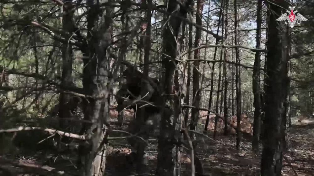 ���������� �� ���� ���������� ������ �������� ������ ���. ��������������� ����������� � ���� ���������� ������ ������ �������������� ����������� � ����� ��������, ��� ��� ������ ���� ������� ������� ����� ����������