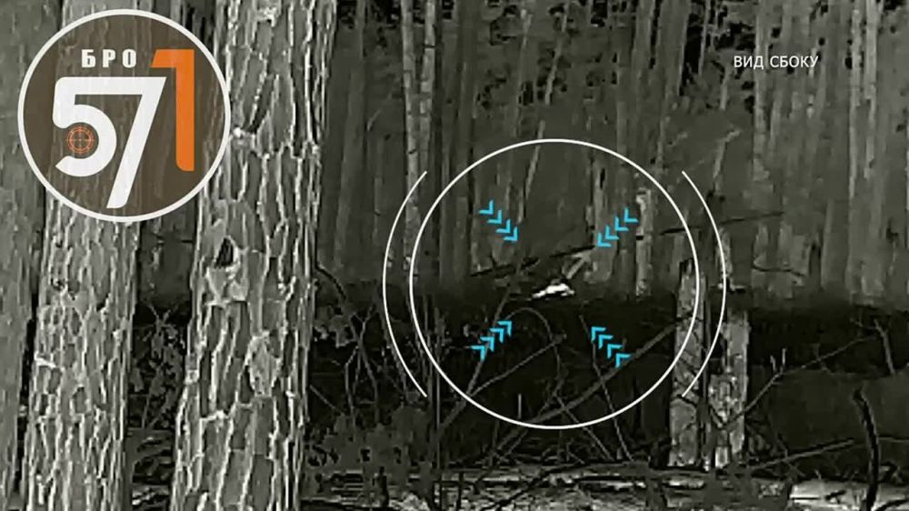 ����� �����: ������ ��������� ������������� �������� ������ �� ���������� � ����� ���������