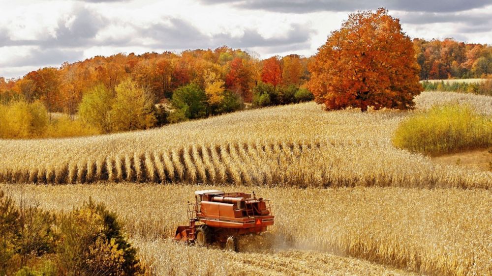������� ��������� �������� ���������� ������ ����� 90% �������� ������ ��������