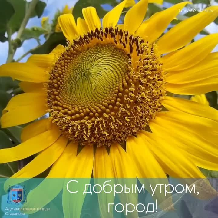� ������ �����, ��������. ������������ ���������� ������� �������� ���� ������� �������! #�������� #�������_��������� #������������������� @AGStakhanov