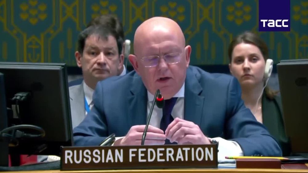 Постоянный представитель РФ при ООН Василий Небензя ответил на украинском языке говорившему по-украински спикеру на заседании Совета Безопасности ООН