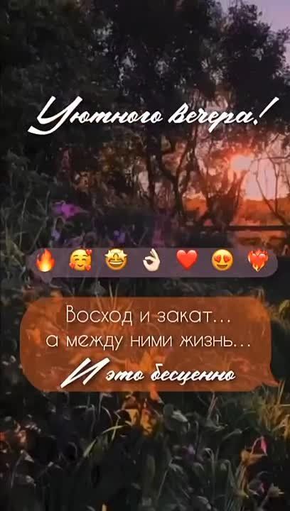 �������������� �� �����