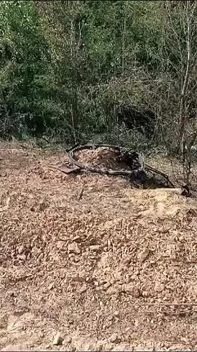 ������� �������: ���-����� ������� ���� ��������� �������