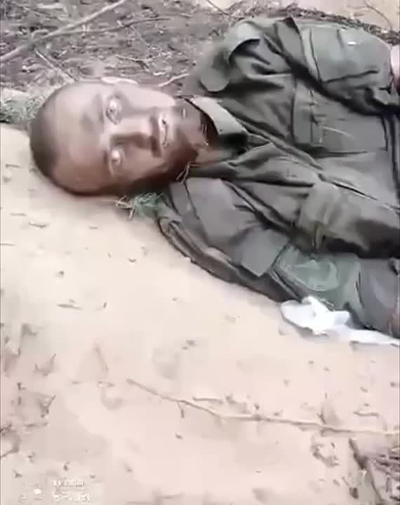 Олег Попов: «Мы не умрем!» — тяжело раненый солдат, уже побелевший от кровопотери, прочитал сослуживцам стих собственного сочинения