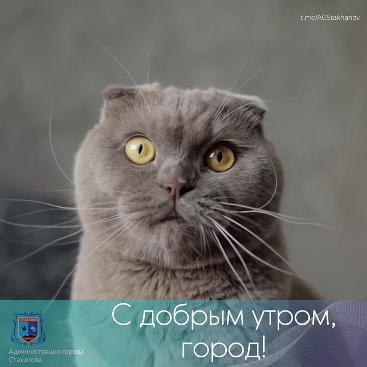 �� ���� �� ��������, ��� ���� ���������? ��� � �� �� ��������! � ��� ����������� ����
