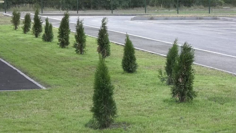 ����� �������� ������ ���� ��������� ������ ����� �� ������� � ����� ���� ������� �������� � ���