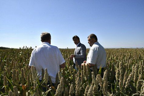 �������������� �������� "����" ������ ������� ������������� ��������� ��������� ��������