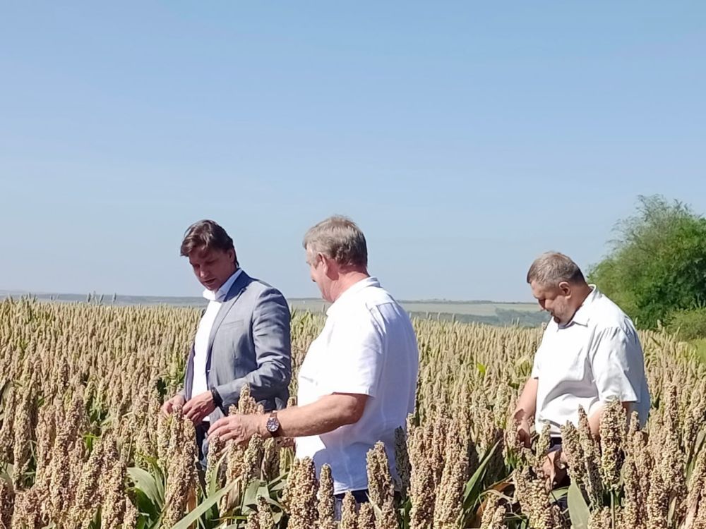 ������� ��������� ��������� � �������������� ��� ������� ������� � ������� ������� ������� ���� ��������������� ��������� ��� ����ѻ, �������� � ����� ���