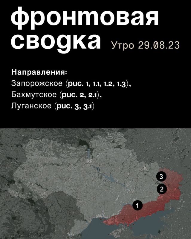 WarGonzo: ��������� ������ �� ���� 29.08.2023