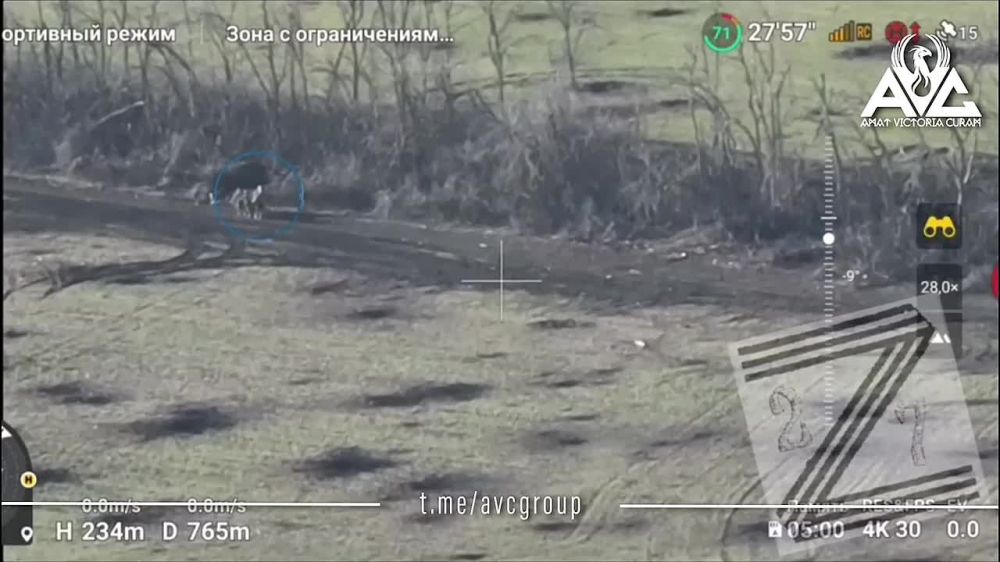 ����� �����: ����� �� ������ ��������: ���, ���������� �����������