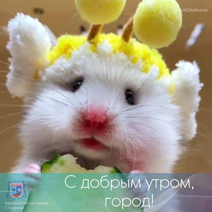 ���� �������� ����������. #���������������������� #������������������� #�������_��������� #��� @AGStakhanov