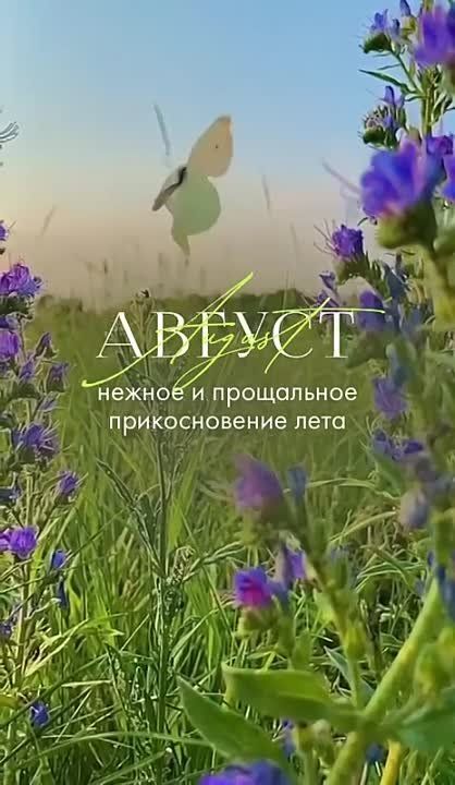 ���� ������ �������������, �� ��������� � ���� ������� � �����.������ ��������� ��� ����, ������������� ��������