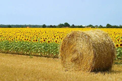 � ������� �������� � �������������������� ������� ����� �������� ������