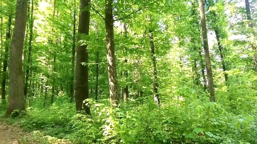 ��������� ���������� �� ������ � ��������� ����� ���������� ��������� ����� ������ �������� � ������� ������� ������ ����� � ��������� �������� ����������