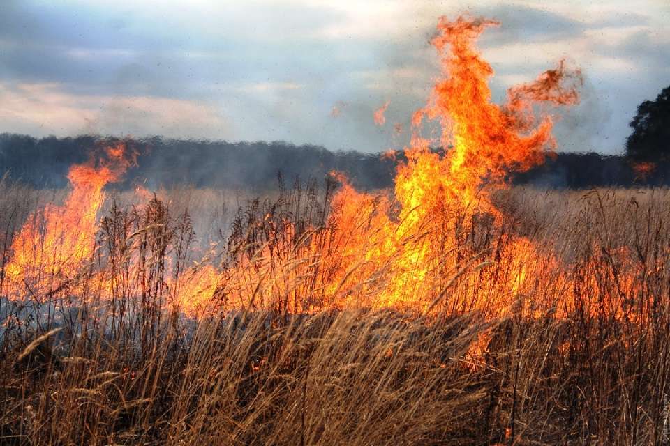 �� ���� ���������� ��-�� ������������� ��������� ������� � ����� ���������� ������ ����� �����