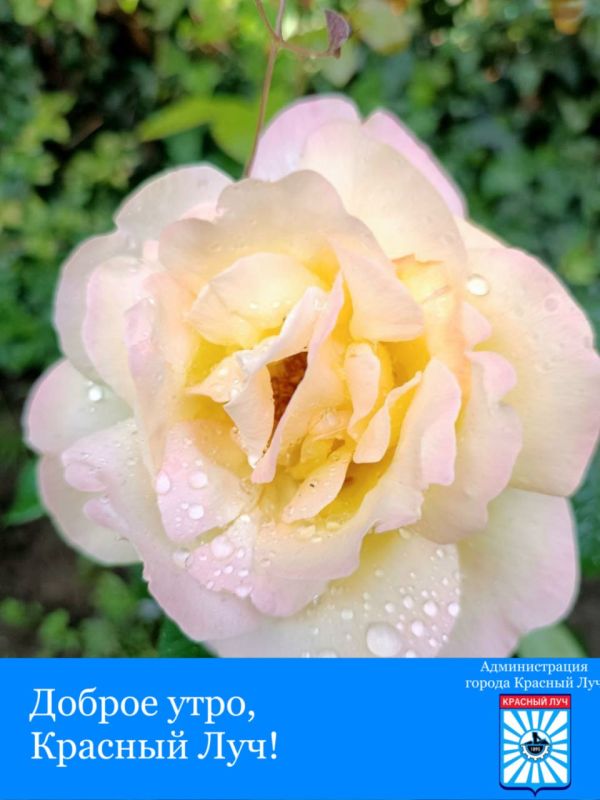 Доброе утро, краснолучане и гости города!