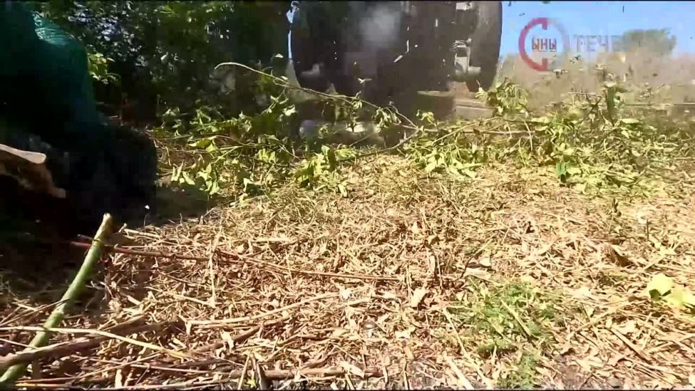�������������� 7 ������� ����� ����������� ����� ���� ���������� �������� ����������� ������� ������ � ������ �����������