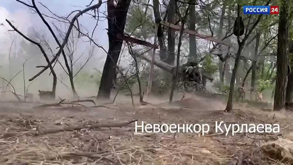 Ольга Курлаева: Сдается мне, разводят «блохиры-нытики» своих подписчиков