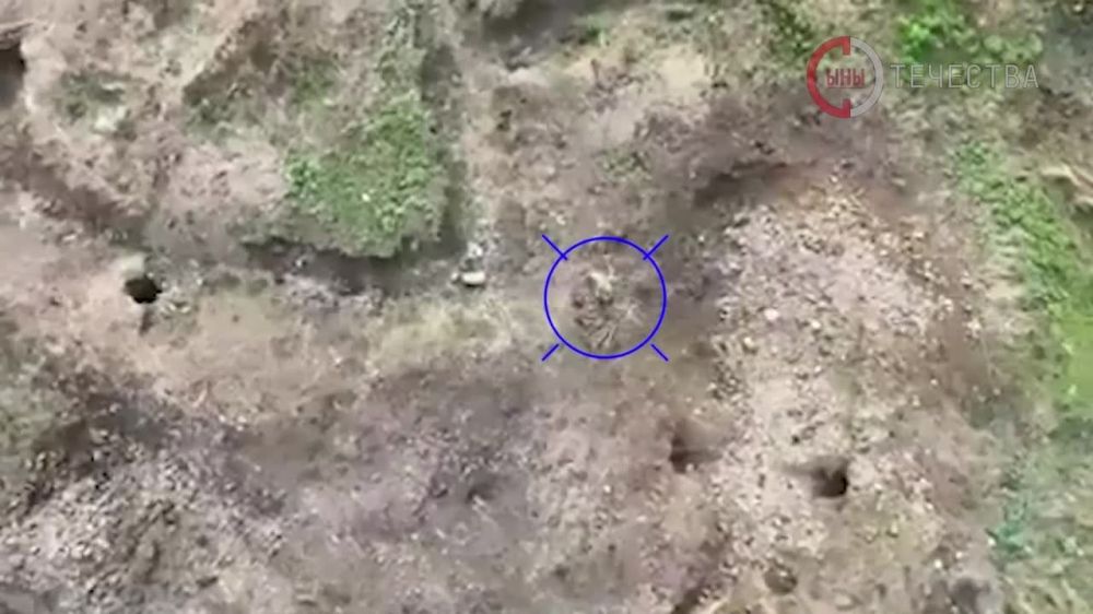 �������������� 88 ������� ����� ����������� ����� ���������� �������� ��� �� ��������� �����������