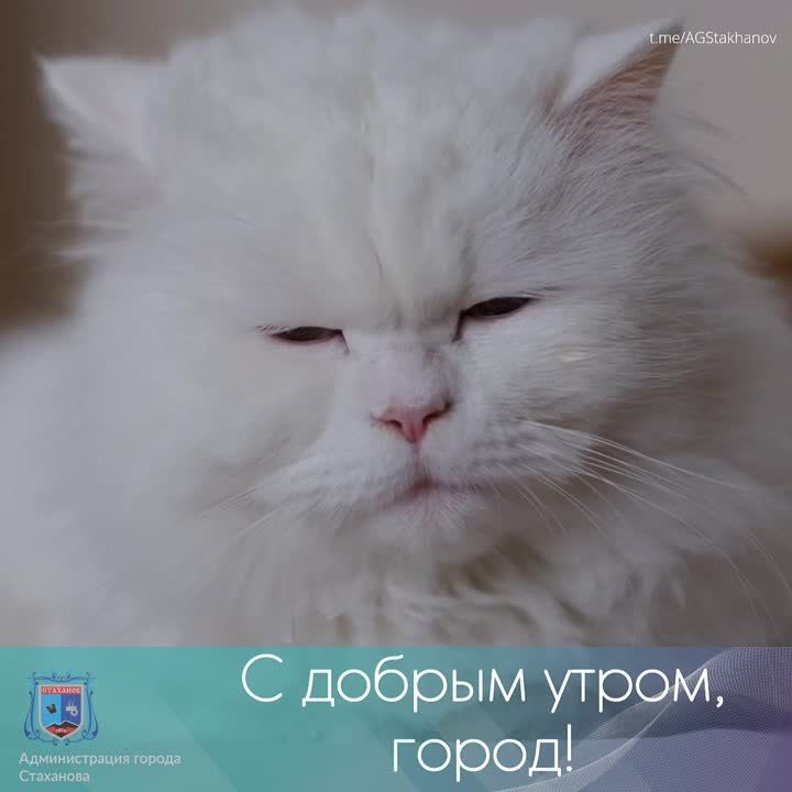 ���� ������������ �����. ������ ������� ����, �������� #���������������������� #������������������� #�������_��������� #��� @AGStakhanov
