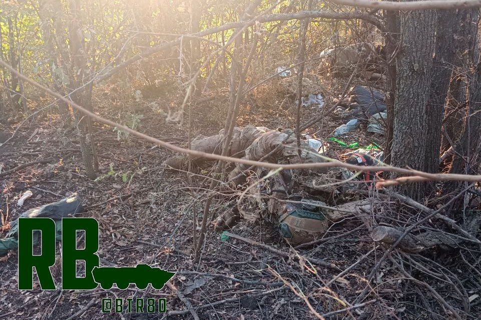 ������� �������: ����������� �� �����* ������� � �� ������ ����� ��� ���������